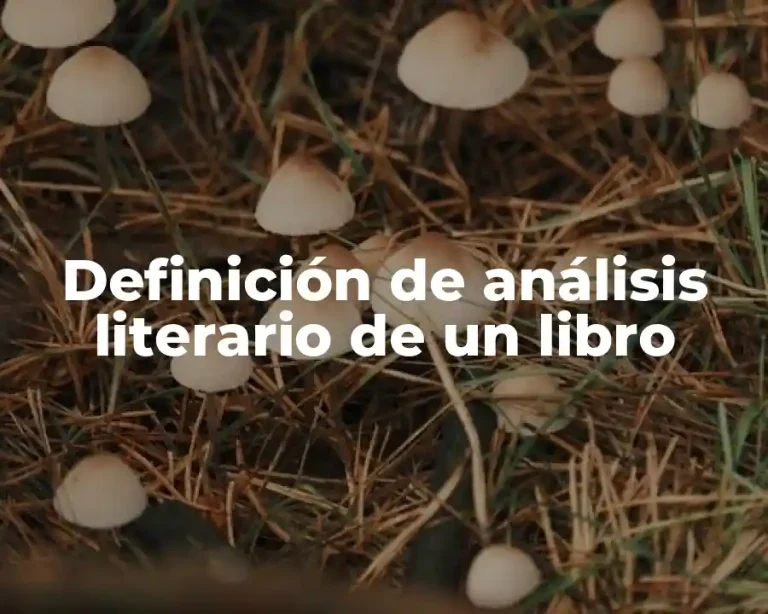 Definición de análisis literario de un libro