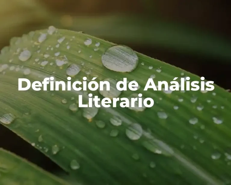 Definición de Análisis Literario