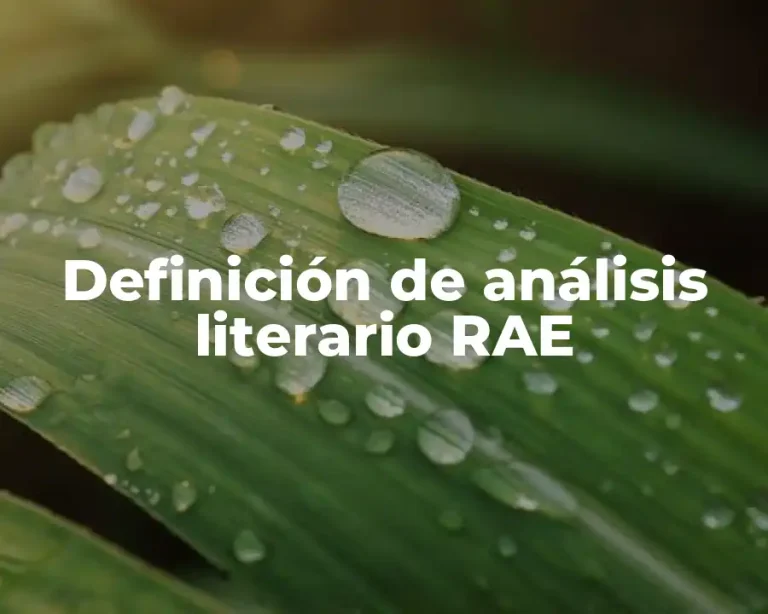 Definición de análisis literario RAE