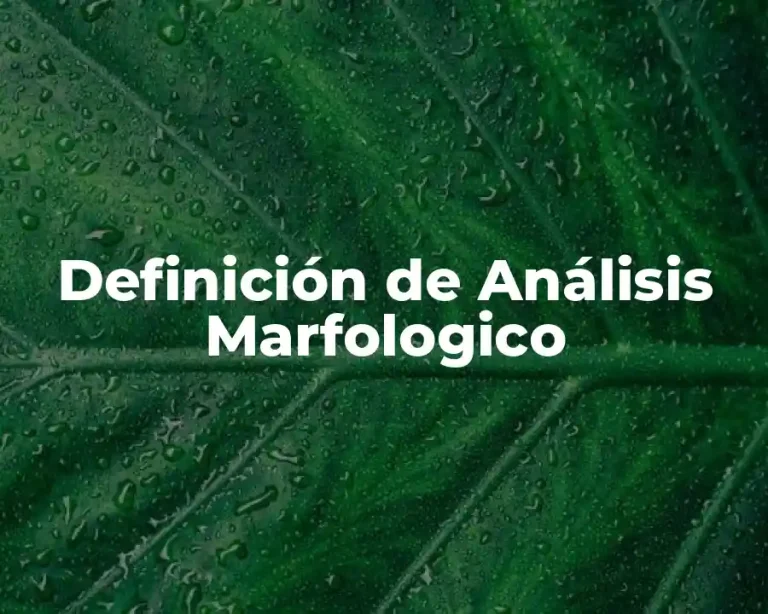 Definición de Análisis Marfologico