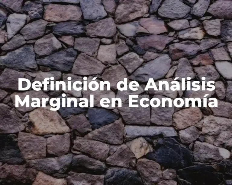 Definición de Análisis Marginal en Economía