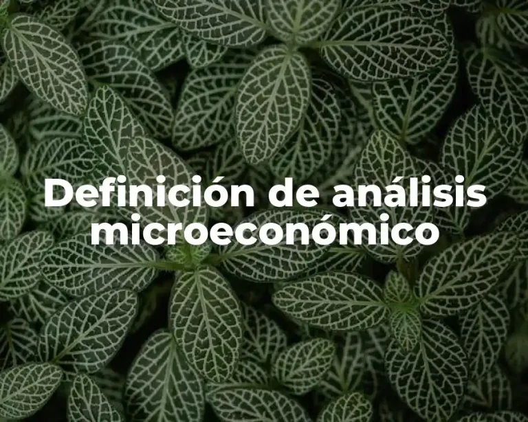Definición de análisis microeconómico