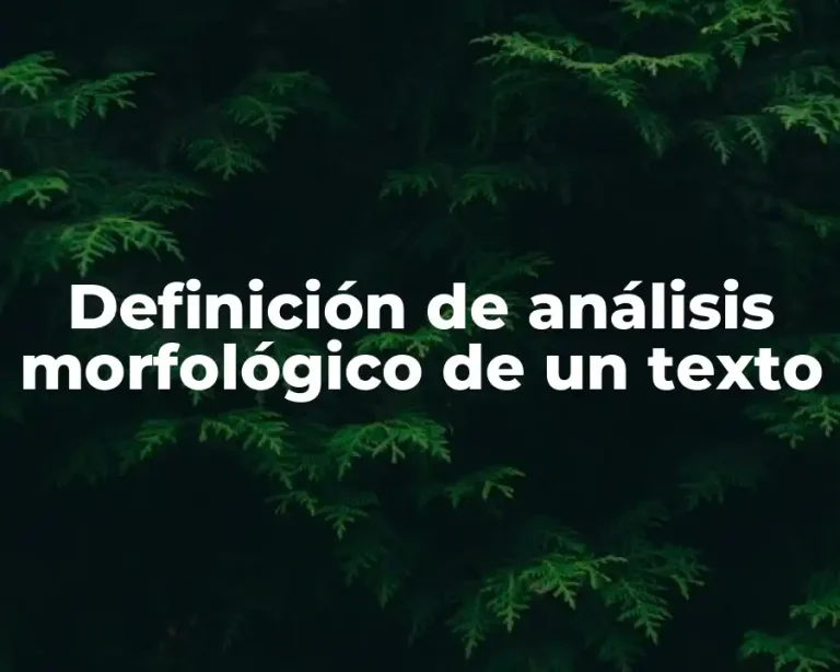Definición de análisis morfológico de un texto