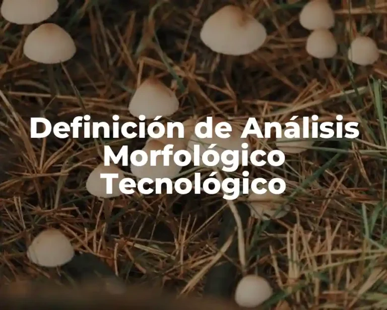 Definición de Análisis Morfológico Tecnológico