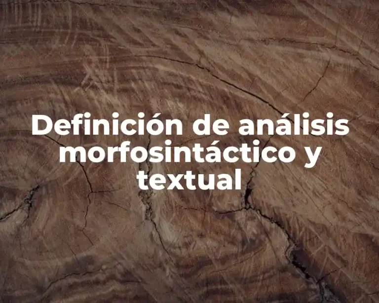 Definición de análisis morfosintáctico y textual