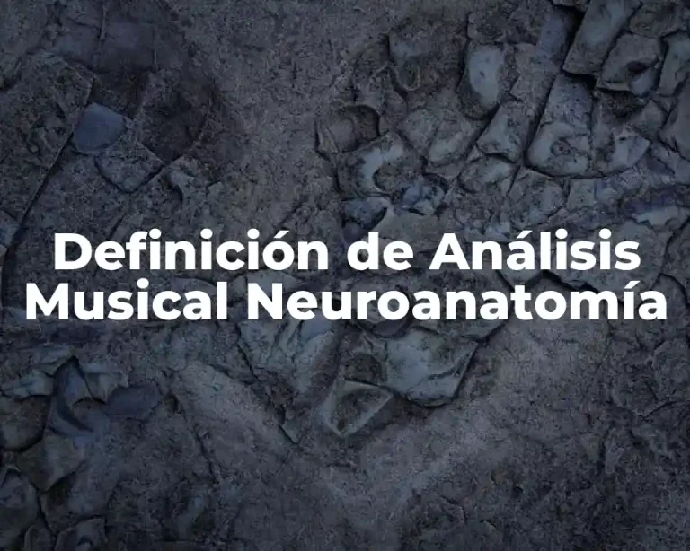 Definición de Análisis Musical Neuroanatomía