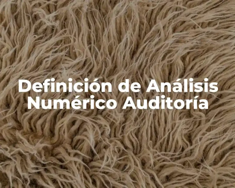Definición de Análisis Numérico Auditoría
