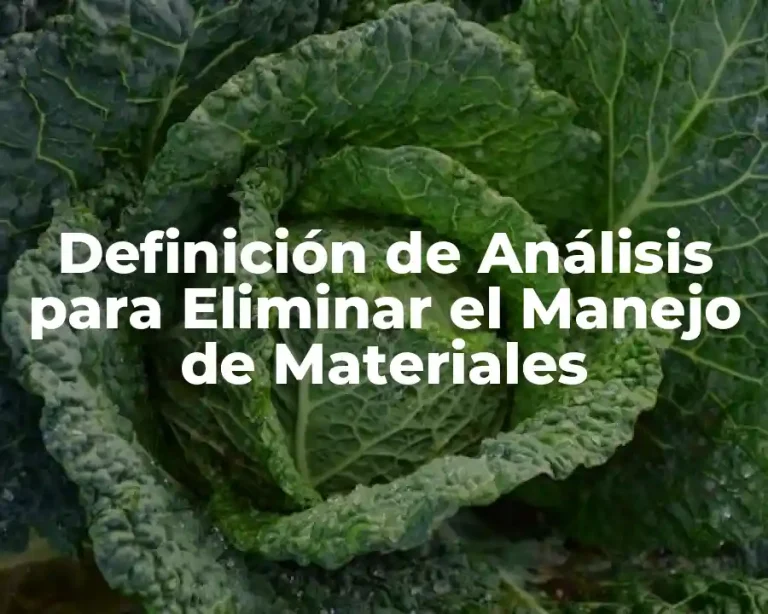 Definición de Análisis para Eliminar el Manejo de Materiales