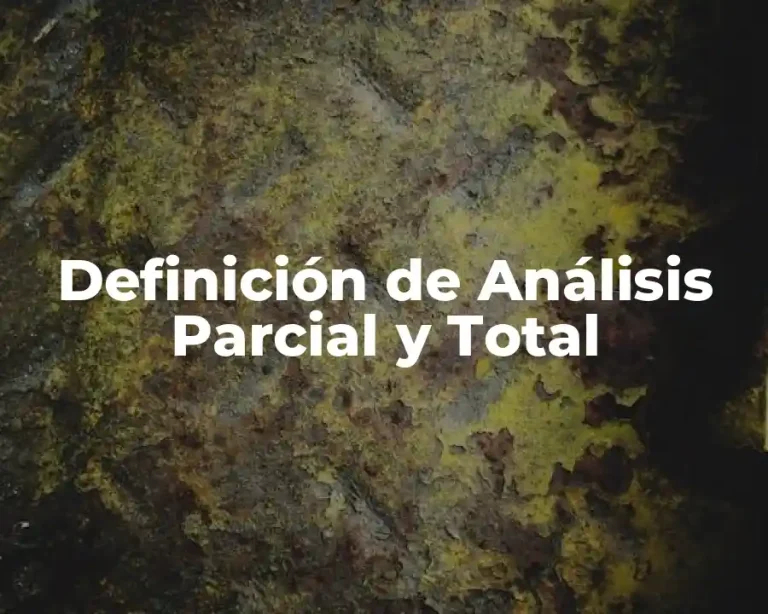 Definición de Análisis Parcial y Total