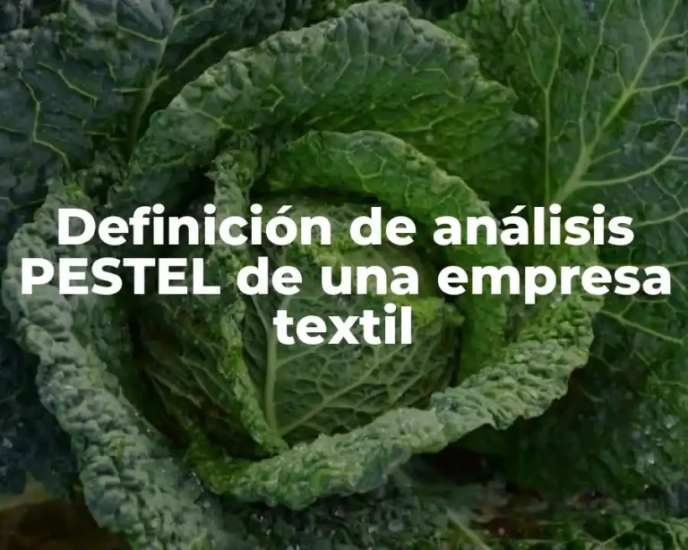 Definición de análisis PESTEL de una empresa textil