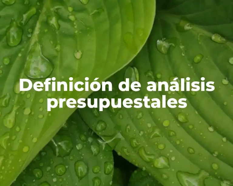 Definición de análisis presupuestales
