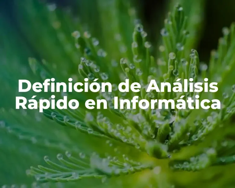 Definición de Análisis Rápido en Informática