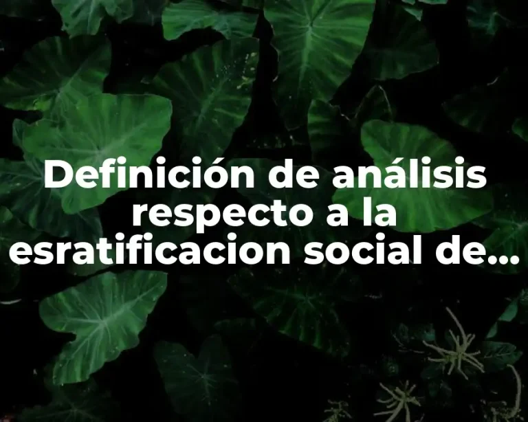 Definición de análisis respecto a la esratificacion social de Weber