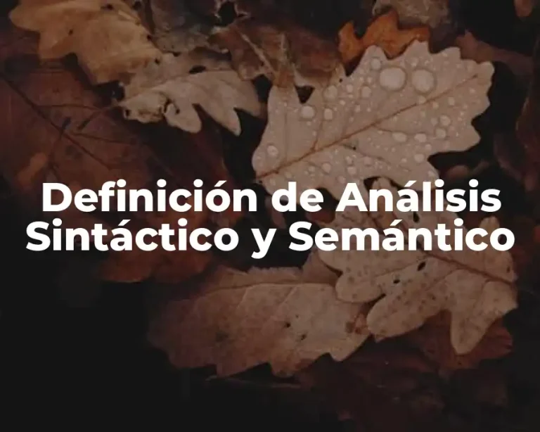 Definición de Análisis Sintáctico y Semántico