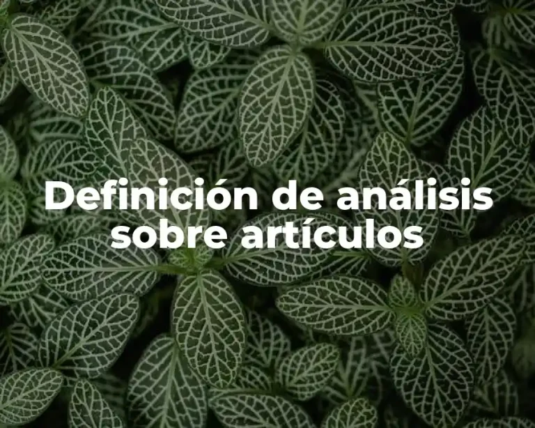 Definición de análisis sobre artículos