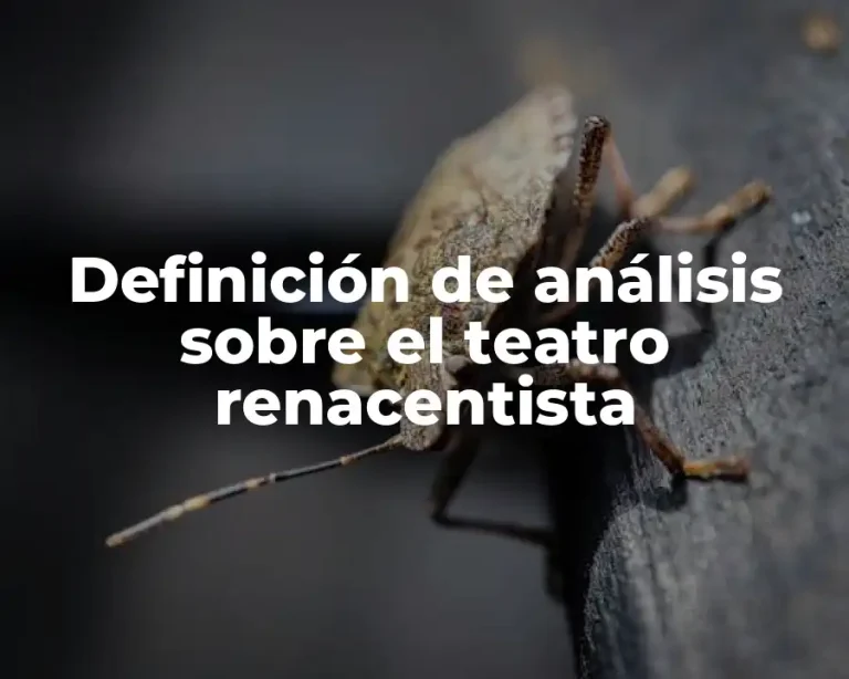 Definición de análisis sobre el teatro renacentista