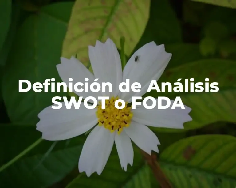 Definición de Análisis SWOT o FODA