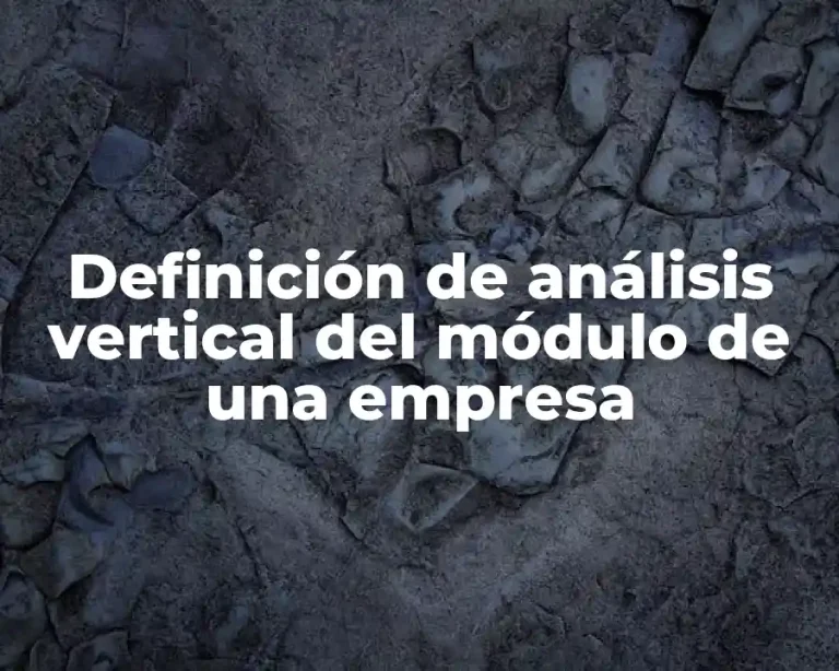 Definición de análisis vertical del módulo de una empresa