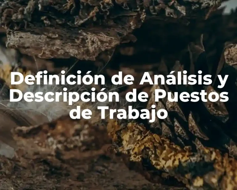 Definición de Análisis y Descripción de Puestos de Trabajo