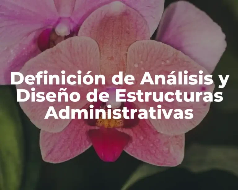 Definición de Análisis y Diseño de Estructuras Administrativas