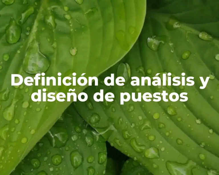 Definición de análisis y diseño de puestos
