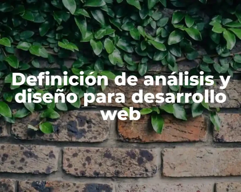 Definición de análisis y diseño para desarrollo web