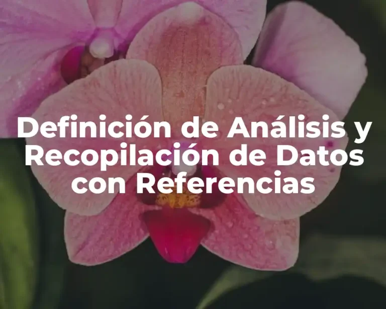 Definición de Análisis y Recopilación de Datos con Referencias