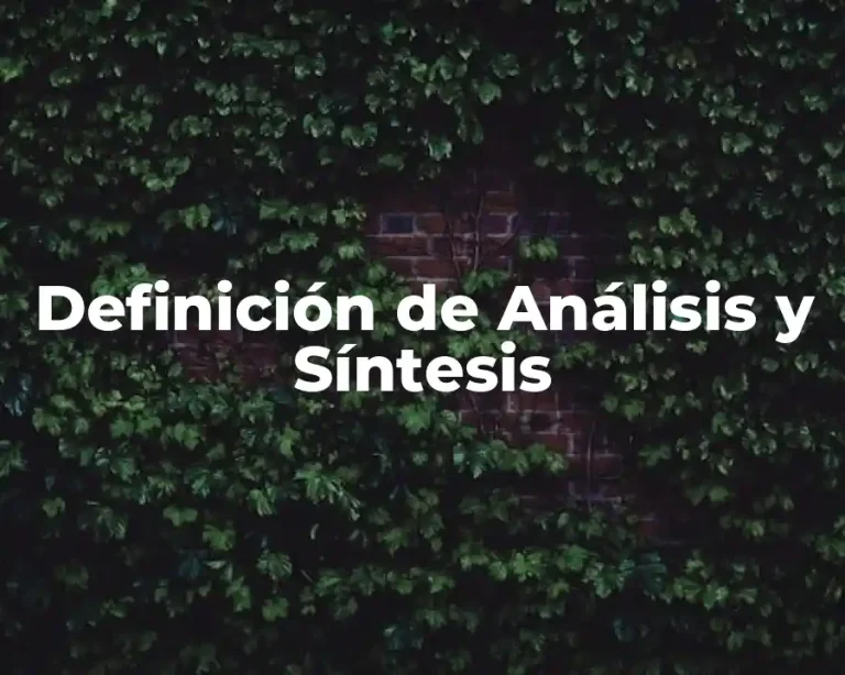 Definición de Análisis y Síntesis