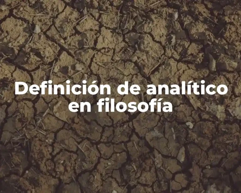 Definición de analítico en filosofía
