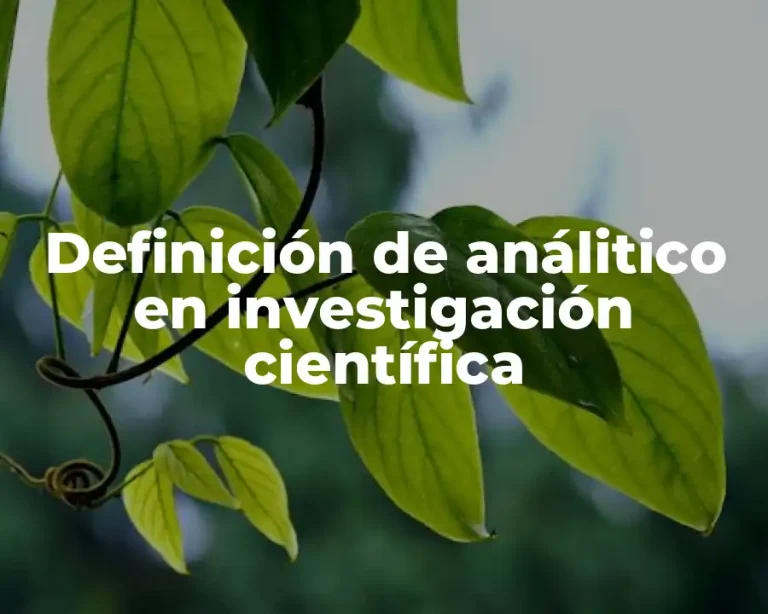 Definición de análitico en investigación científica