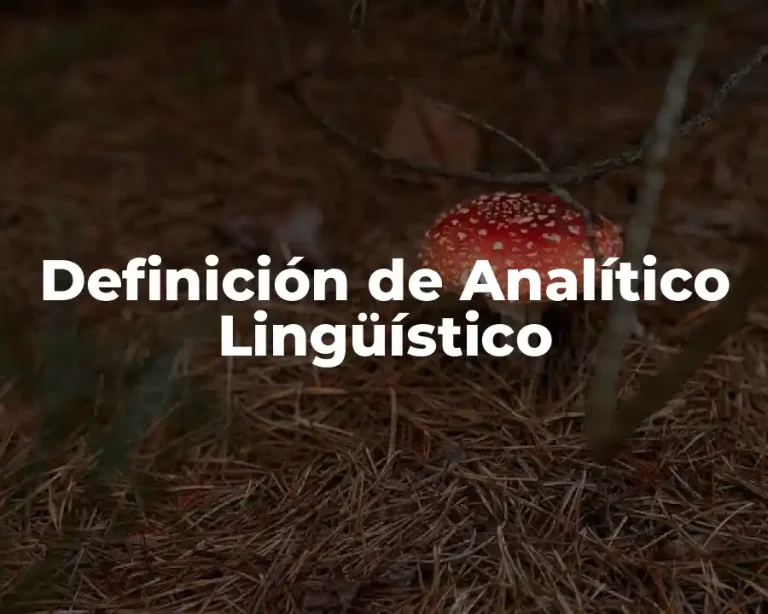 Definición de Analítico Lingüístico