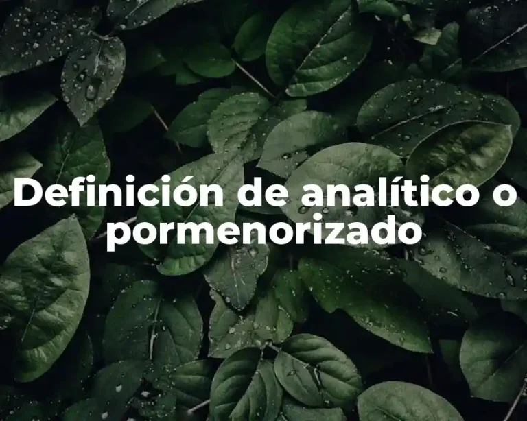 Definición de analítico o pormenorizado