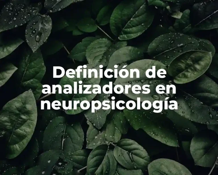 Definición de analizadores en neuropsicología