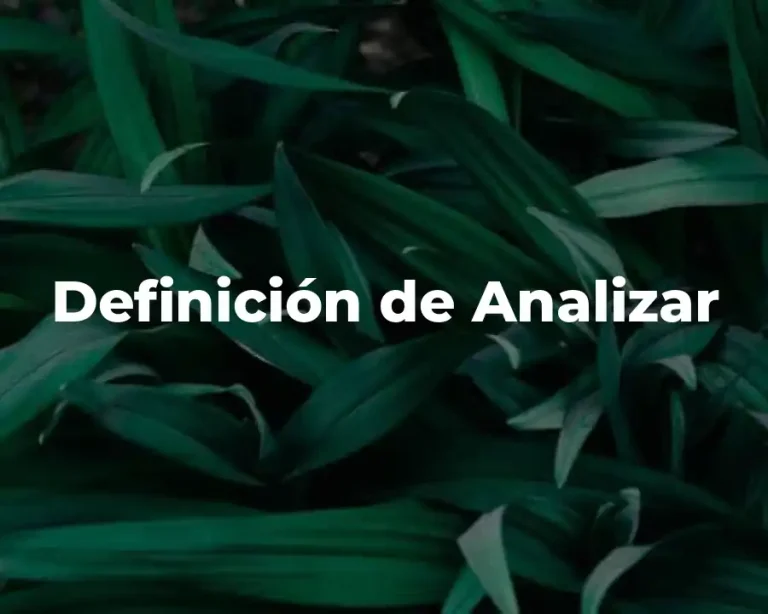 Definición de Analizar