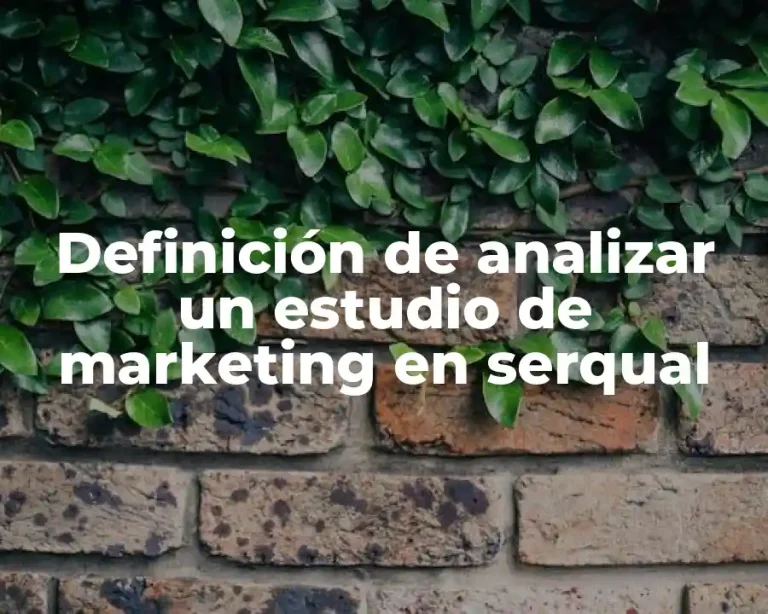 Definición de analizar un estudio de marketing en serqual
