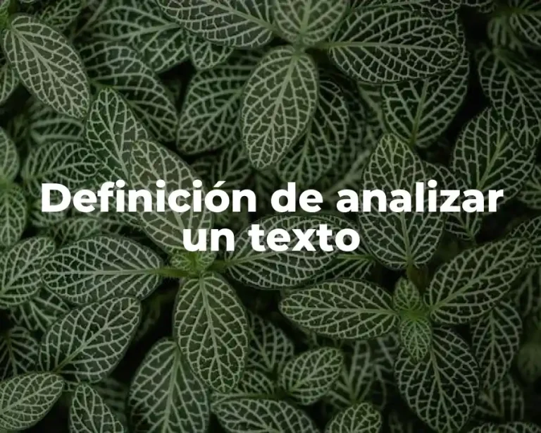 Definición de analizar un texto