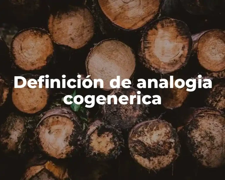 Definición de analogia cogenerica