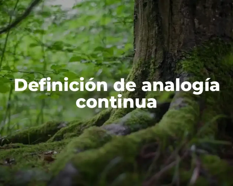 Definición de analogía continua
