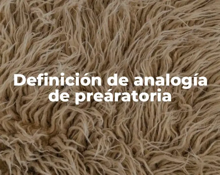 Definición de analogía de preáratoria