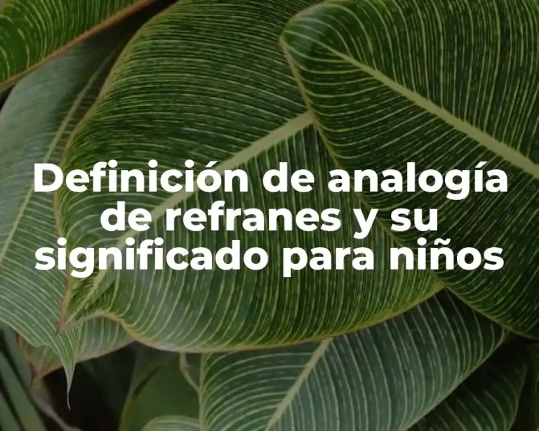 Definición de analogía de refranes y su significado para niños