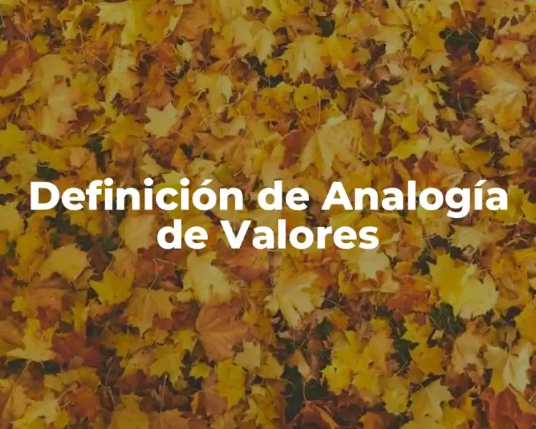 Definición de Analogía de Valores