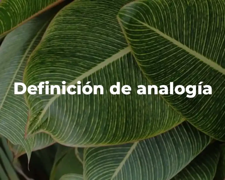 Definición de analogía
