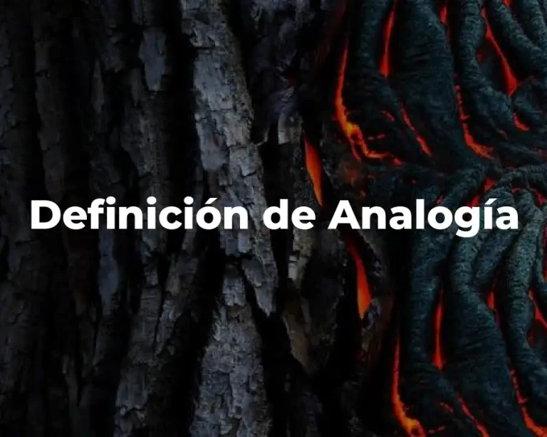Definición de Analogía
