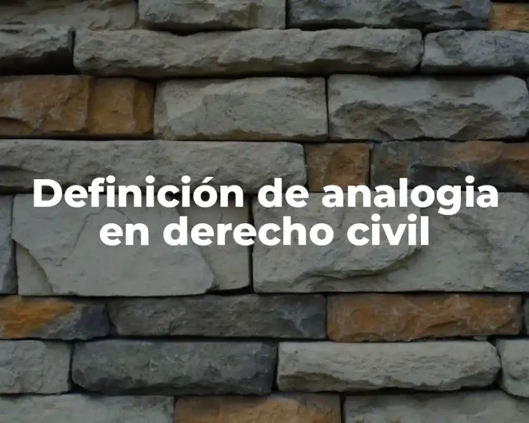 Definición de analogia en derecho civil