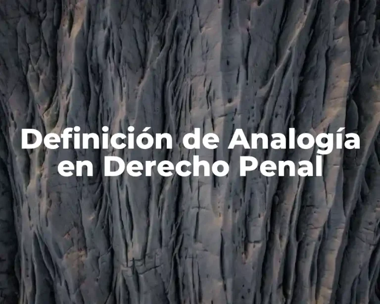 Definición de Analogía en Derecho Penal