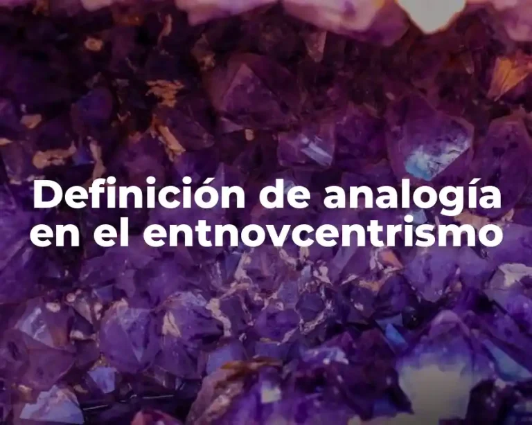 Definición de analogía en el entnovcentrismo