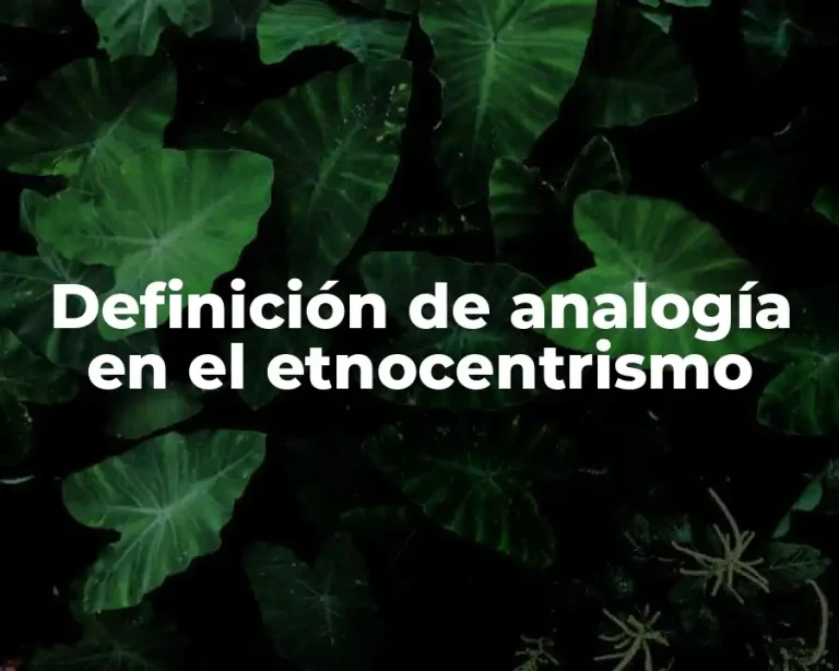 Definición de analogía en el etnocentrismo