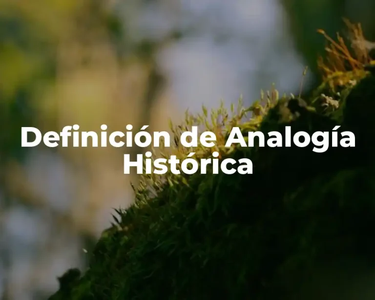 Definición de Analogía Histórica