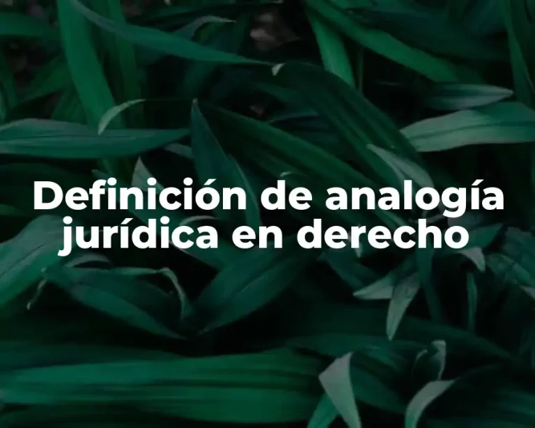 Definición de analogía jurídica en derecho
