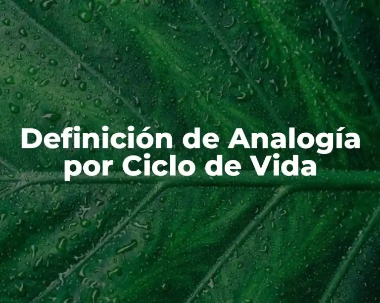 Definición de Analogía por Ciclo de Vida
